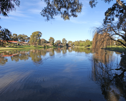 Rowville Lake