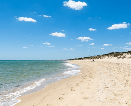 Best places to visit in Tyabb